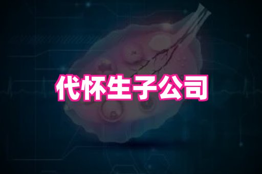 gfg孕网 2