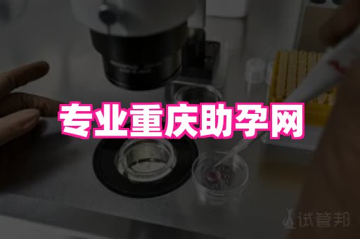 gfg孕网 4